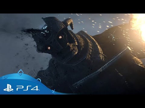 Vidéo 1