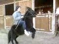 iza et tornado