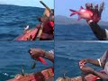 Dia de Pesca em Praia Baixo