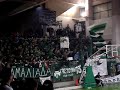 Panathinaikos fans at women's volleyball