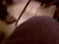 videos de 12-3-08 (1).AVI
