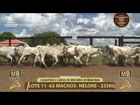 11� LEIL�O FAM�LIA LUCIANO DUARTE E CONVIDADOS