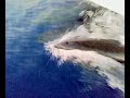Dauphins