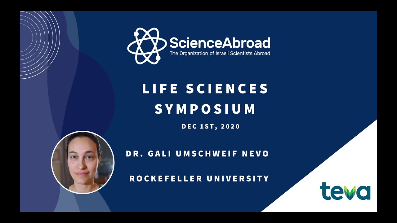Dr. Gali Umschweif (Rockefeller University) | ScienceAbroad Life Sciences Symposium 2020