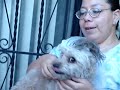 Rufo apenado por su peinado