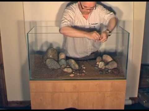 Findley. - http://www.thegreenmachineonline.com aquascaping specialists. This archive footage shows the creation of this stunning aquarium. This aquascape by James Find...