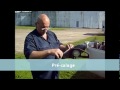 Click here to watch this video Calage helice zenair 701.wmv
