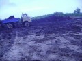 ifa w50 la&HW 60.11 Új Élet Mgtsz Himesháza trágyahordás,aratás