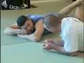 Training seminar with Bas Rutten July 20th-22nd, 2007