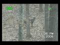 videos de 8 Point Backflip