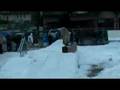 videos de TreeLee Jibulation 07