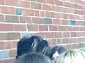 Outside lostprophets blackpool Outside lostprophets blackpool