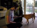 Kahlua learning to vacuum