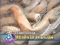 中嘉基隆美食新聞- 市場裡的美味菜頭魯蘿蔔湯底味清甜食材新鮮沾醬棒