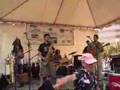 Chicago Afrobeat Project - Palmwine Sound