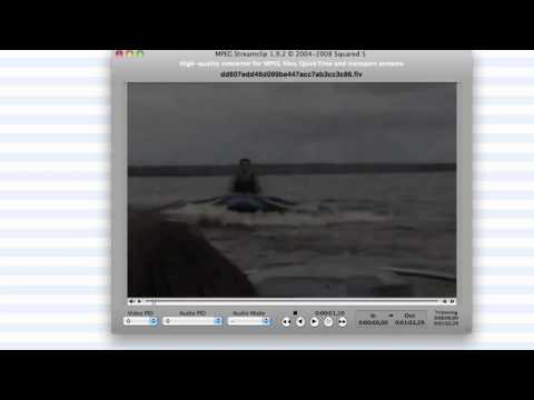 How To Download MegaVideo Videos (Movies, TV Shows, etc.) For Free