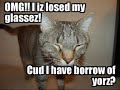 VERY FUNNY CATS pt 4 (OMG LOL HAX)
