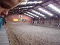 nikita dresuur galop