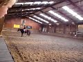 nikita dresuur galop