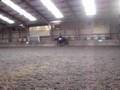 nikita dresuur galop