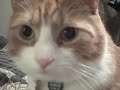 Sunny purrrrrrrrrrrrrrrrrrrrrrrrrrrrrr Sunny purrrrrrrrrrrrrrrrrrrrrrrrrrrrrr