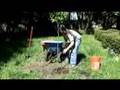 Planting America:How To Plant a Tree (Feat. Rob Beideman)