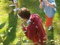 Pie in face
