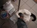 videos de Hungry Herman