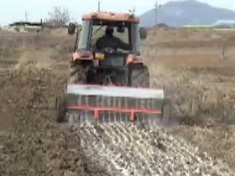 how to fertilize iris