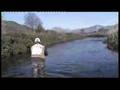 PESCA MOSCA FLY FISHING TROTA FARIO BROUN TROUT