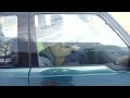 sneeuw 2009 2.mp4