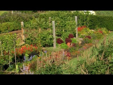 how to fertilize with wood ash