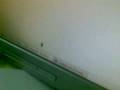videos de Ketiduran di kantor