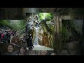 video1
