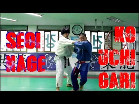 Seoi Nage and Ko Uchi Gari Combination by Korean 7th Dan (HD)