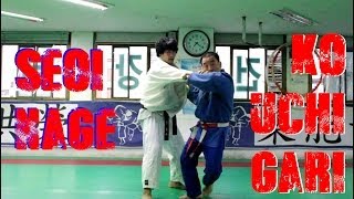 seoi nage and ko uchi gari combination by korean 7th dan hd