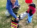 150 m.p.h. wing, prop exploded