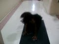 nesh-again.html