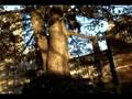 AUTUMN_LEAVES
