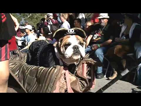 Halloween Dog Parade 0 Halloween Dog Parade