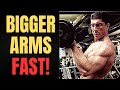 Arms-ultimate-workou