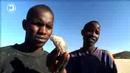 dropping knowledge Copyleft Commercial: Namibia