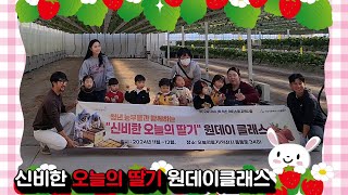 신비한 오늘의딸기 원데이클래스
