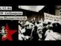 Rote Armee Fraktion.mp4