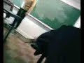 prof barjo flory prof barjo flory