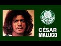 César Maluco.