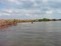 hobie fisherman vs dolphin hobie fisherman vs dolphin
