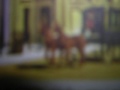 Plaisir De Vienne Musique De Charles Chamas Cavaillon