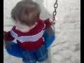 Chris Swinging
