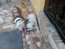 Cala y Facundo